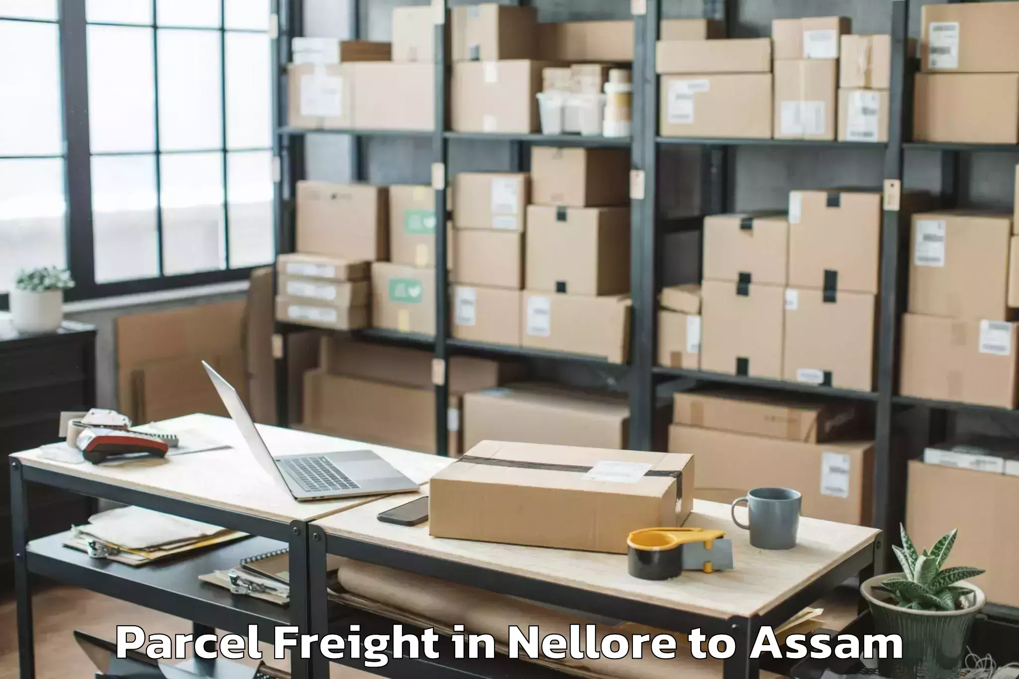 Book Your Nellore to Amguri Parcel Freight Today